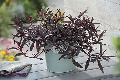 任天堂社长：当前进行主机世代更迭不够安全