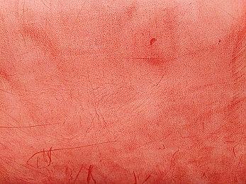 《影廊2：雨之四葩》登陆Steam 恐怖探索名作续篇